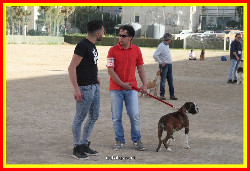 180311 mostra_canina 127.jpg